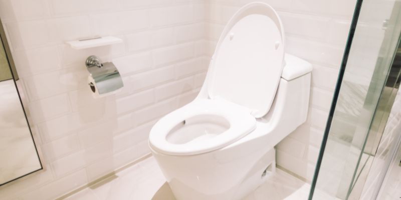 Como Desentupir Vaso Sanitário Que Caiu Objeto Dentro em São José do Rio Preto: 4 Técnicas